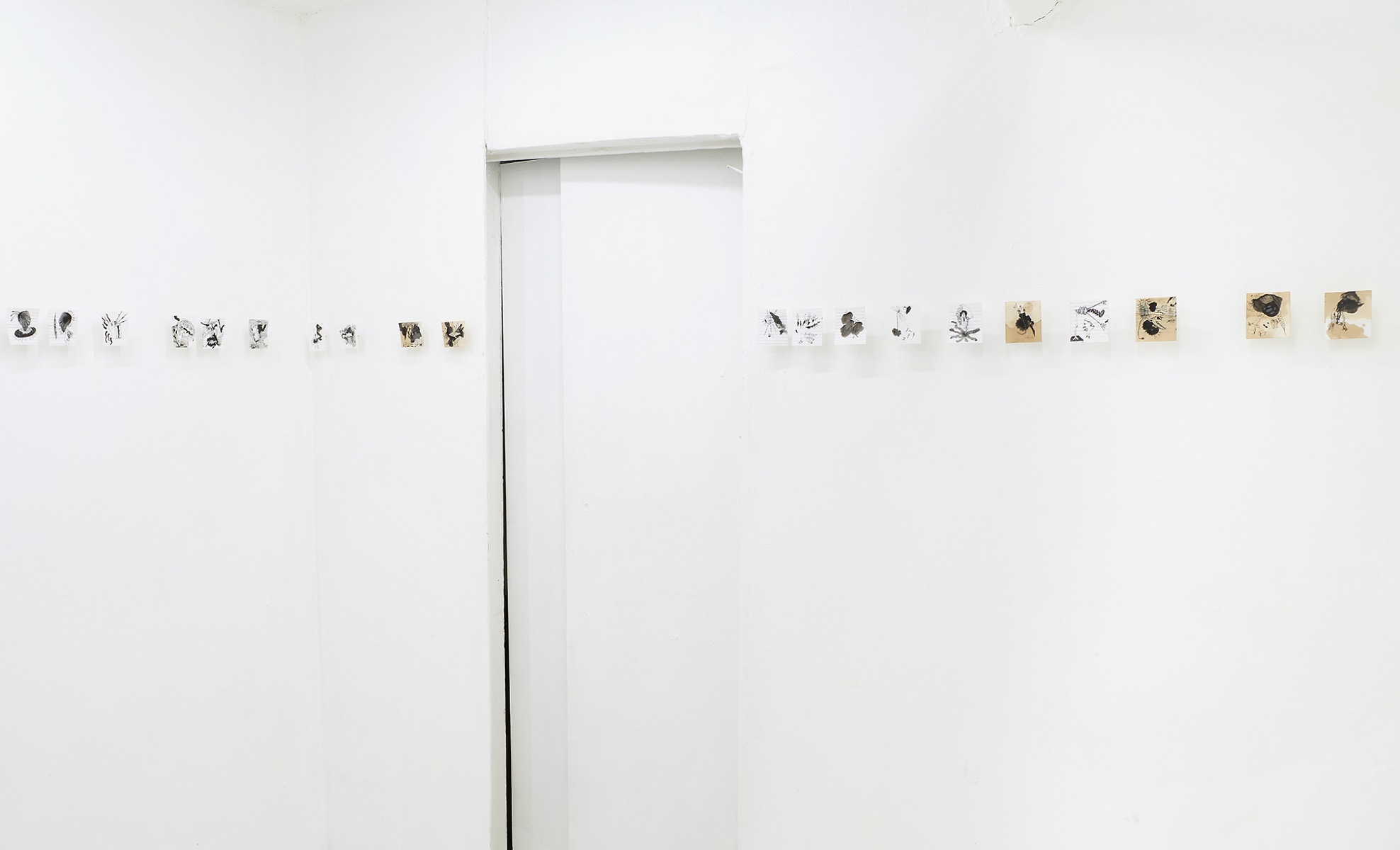 gallery5